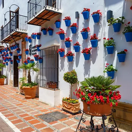 Dama De Noche-4 By Interhome Apartment